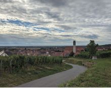 Grand Cru Steinert Pfaffenheim Grand Cru Steinert Pfaffenheim