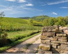 Vignoble et Châteaux Eguisheim Voegtlinshoffen Vignoble et Châteaux Eguisheim Voegtlinshoffen